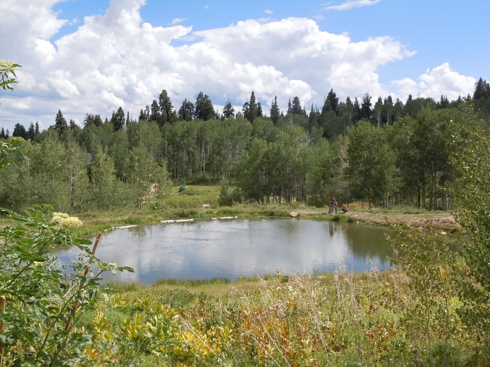 Bobcat Springs Fishing Hole.