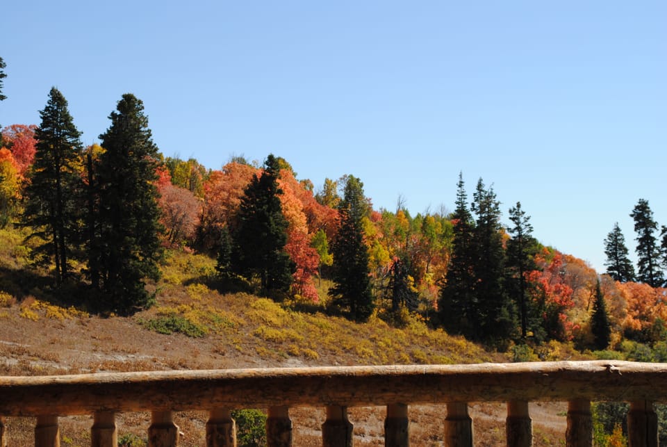Fall Foilage