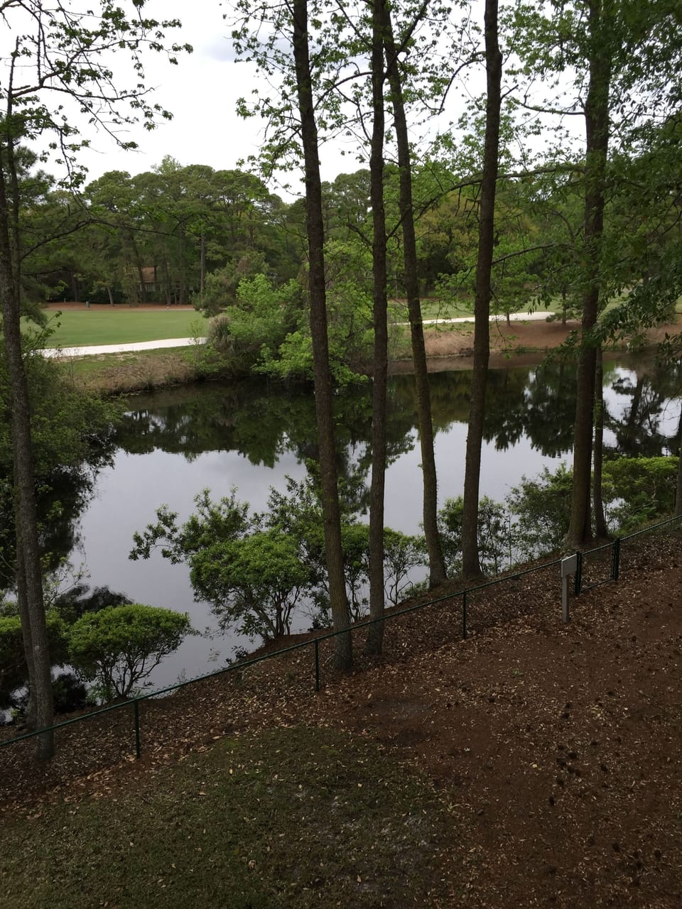 From Back Deck overlooking Lagoon and Golf Course