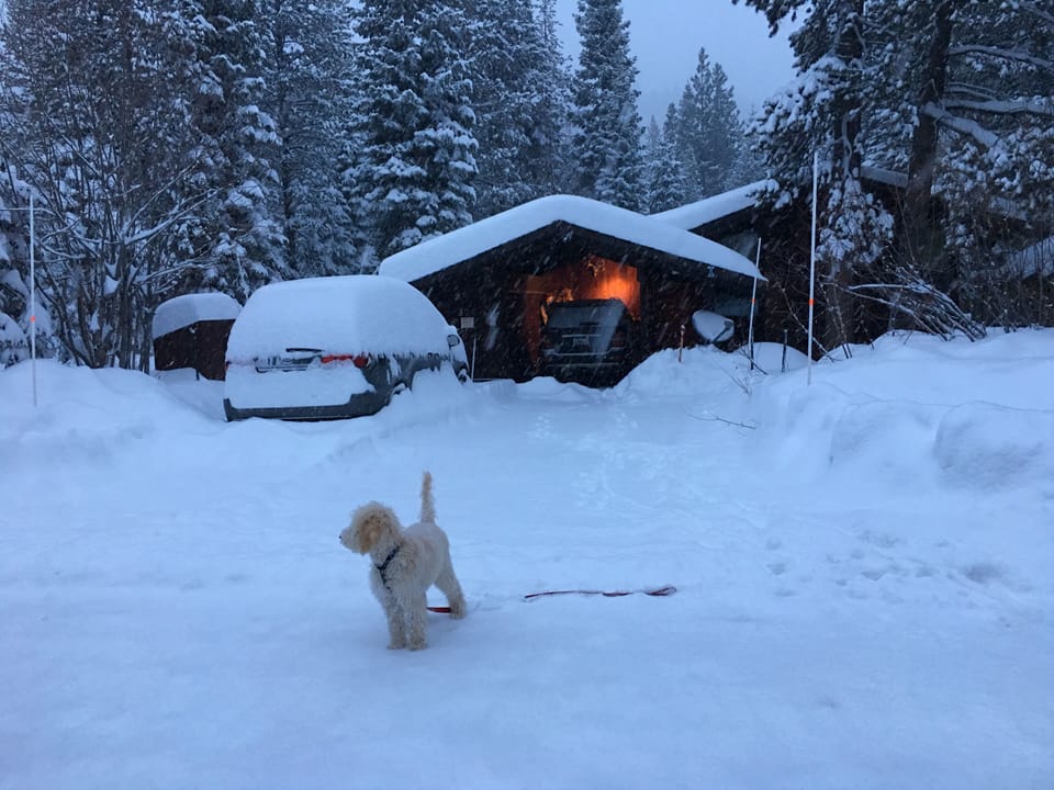 Winter 