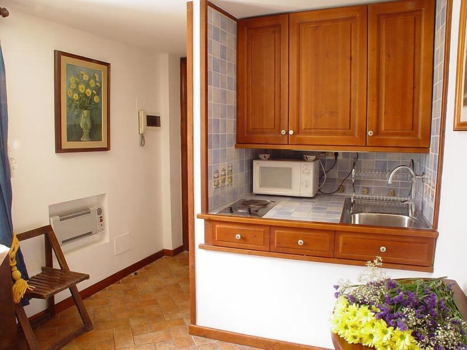 kitchen corner: #2 fires, fridge, microwave, moka, french press, toaster...