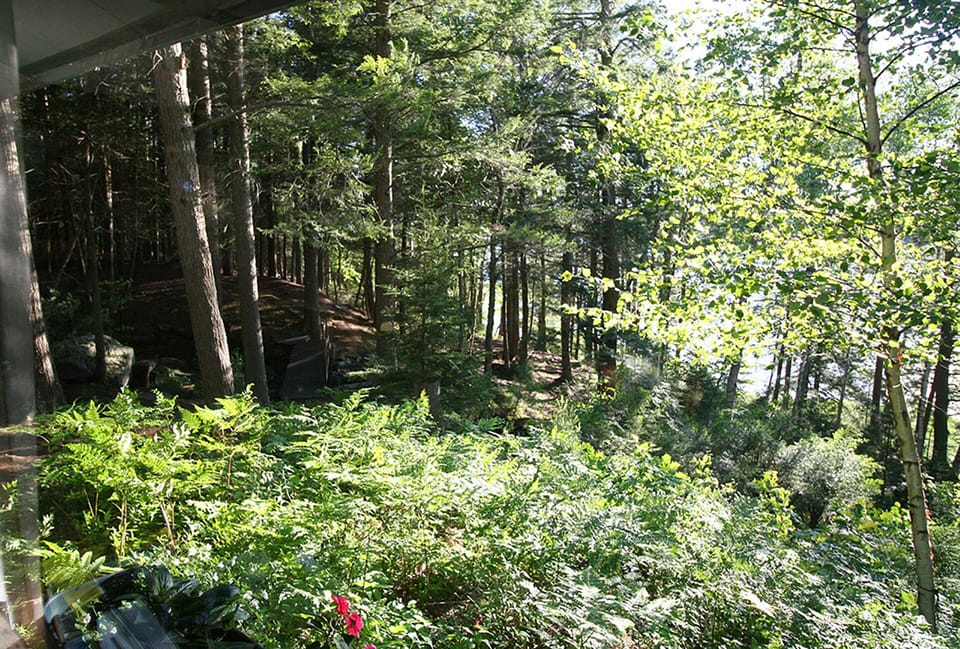 looking down the hill towards the water