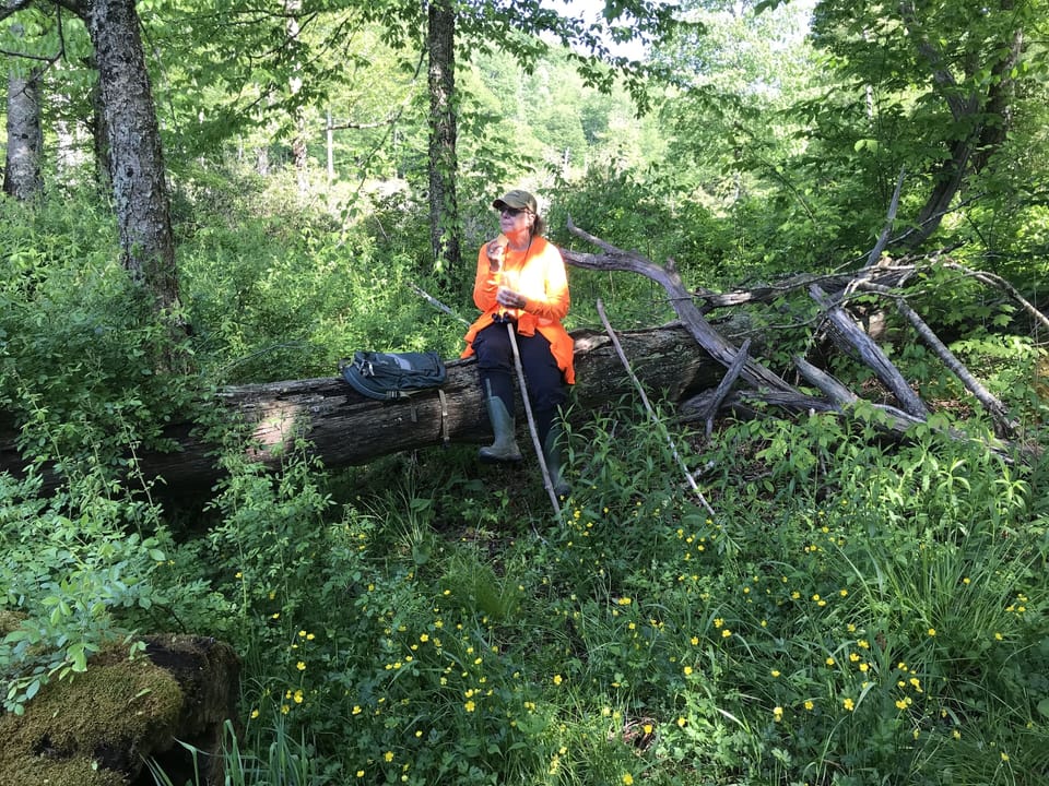 Places to sit on property 