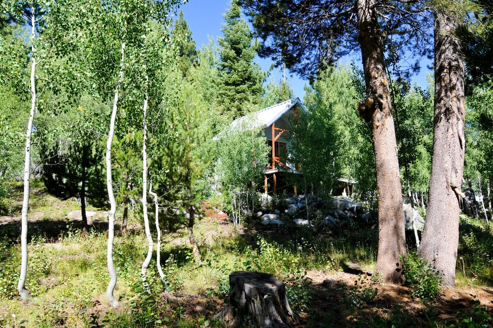 The piglet cabin nestled in the Aspen Tree. It has 2 twin beds