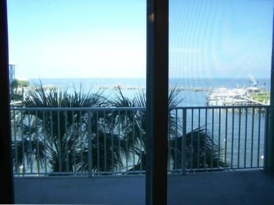 View From Great Room