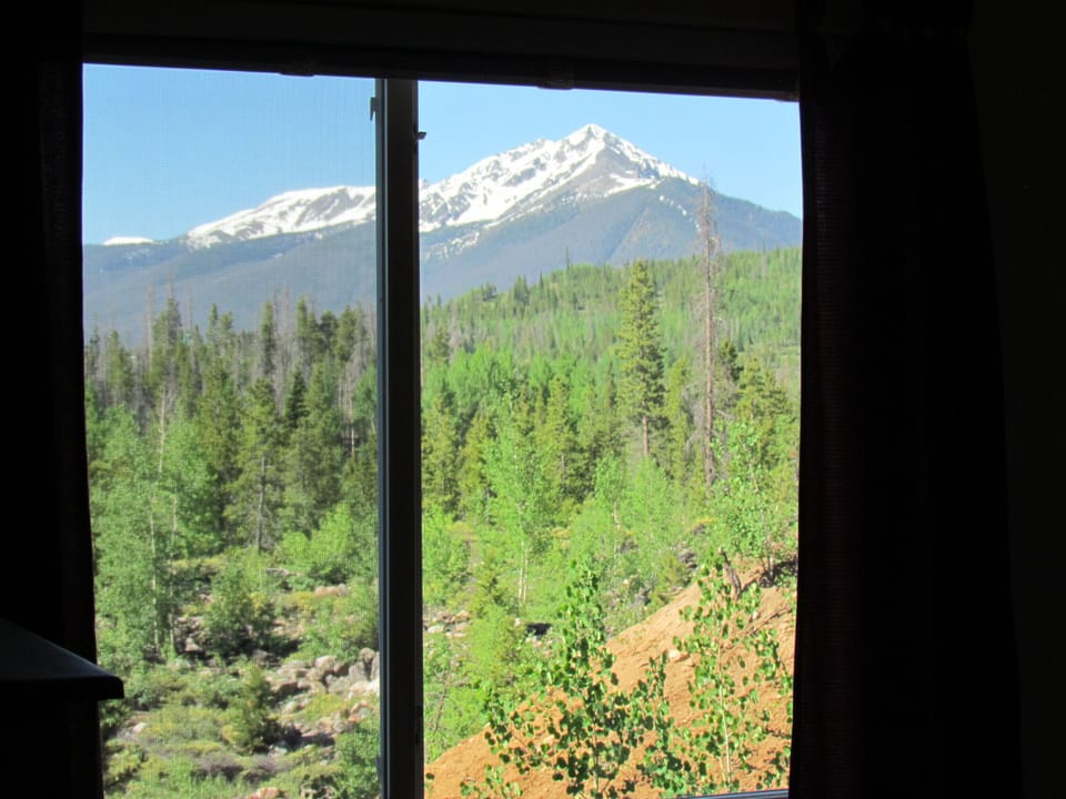 view from bedroom window