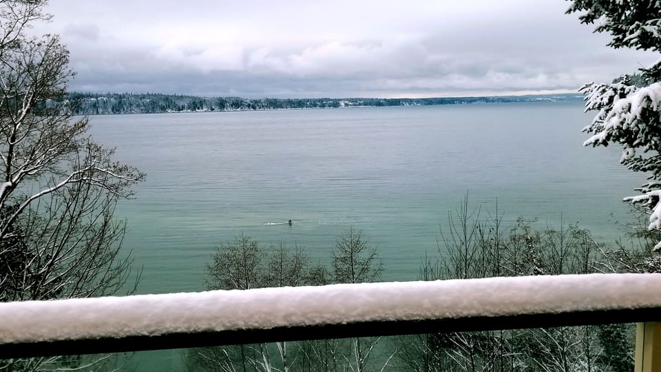 Port Susan Deck View in the snow with the grey whales feeding 