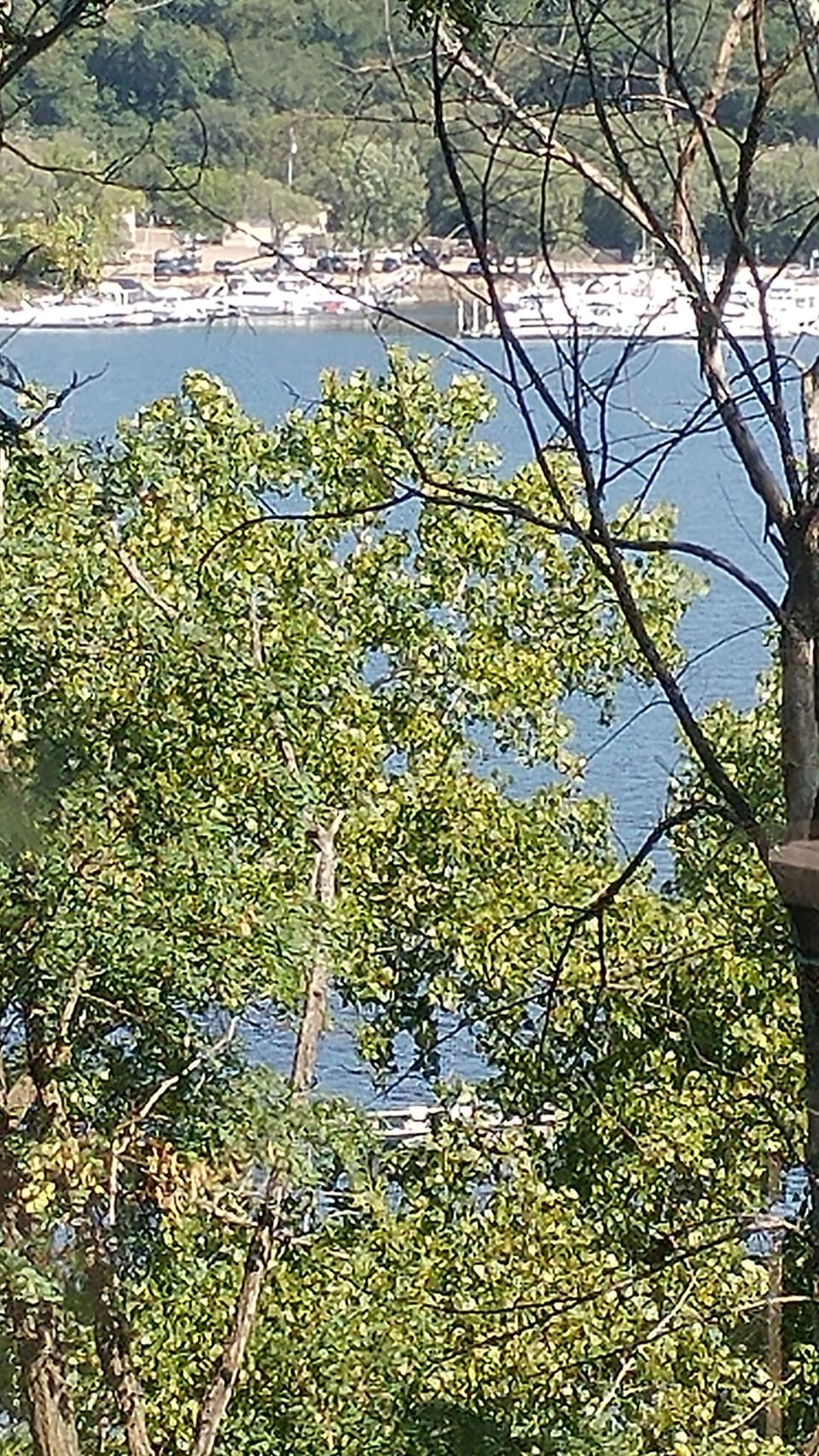 Great river views from the deck in the summer!