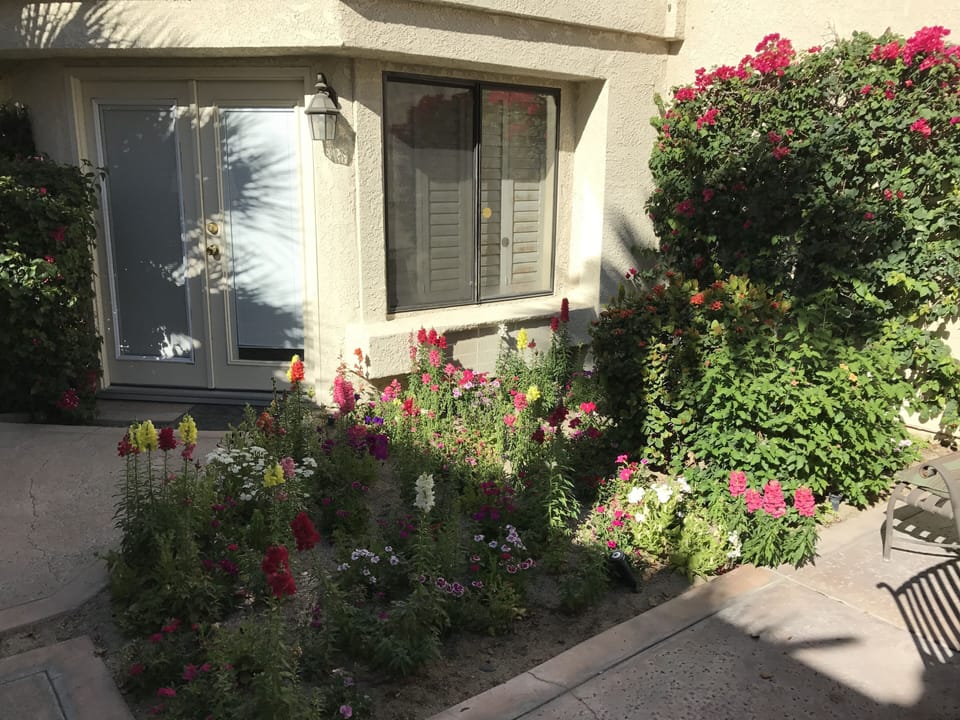 Inner Patio Garden