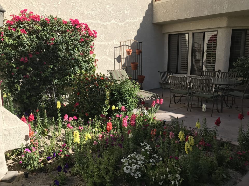 Inside Patio