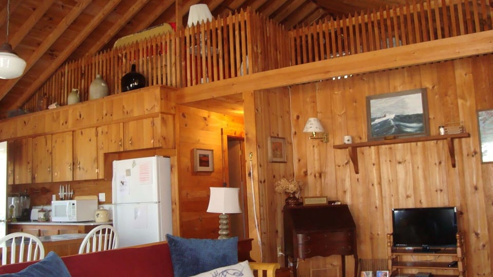 Living room and kitchen