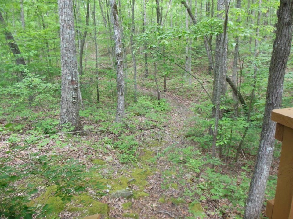 Trails on the property meander through the five acre wooded lot. 
