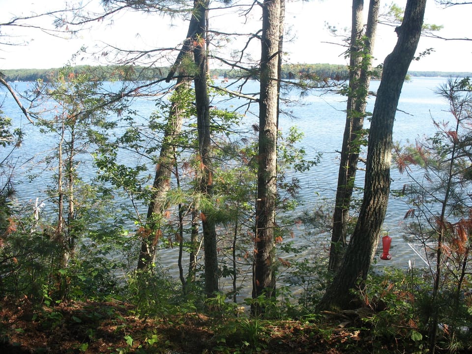 View to north from deck