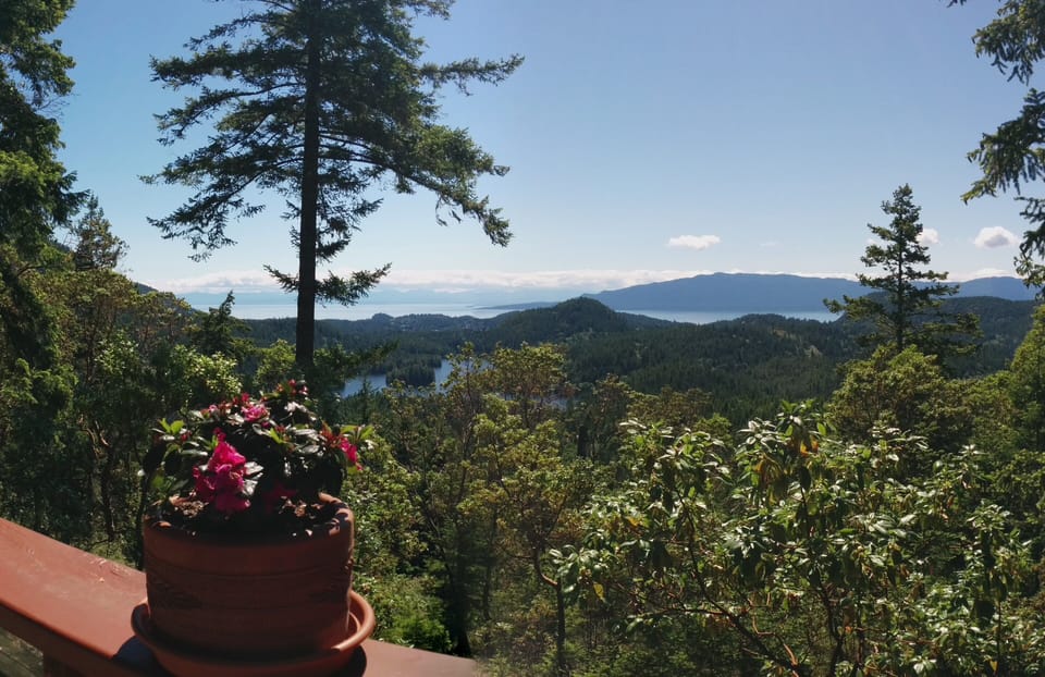 View from deck