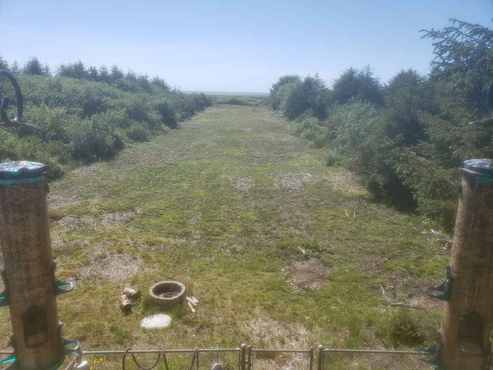 View from Deck during Summer.