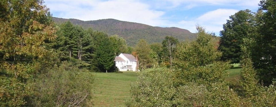 view from our meadow