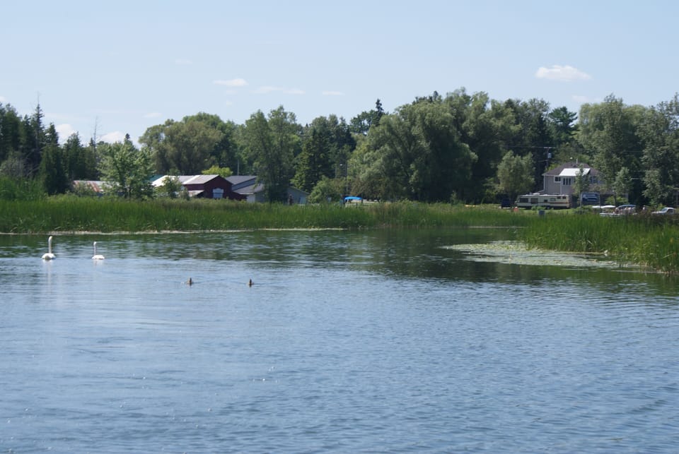 Beautiful inland waterway on Crooked river