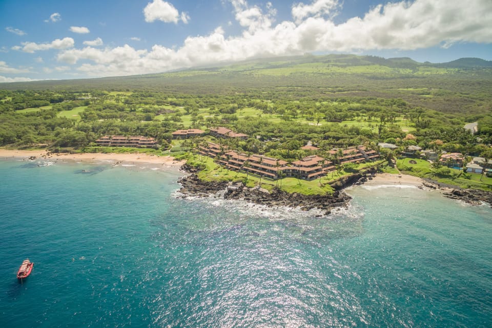 One of Maui’s best snorkel spots is here! Snorkels and fins are provided. 