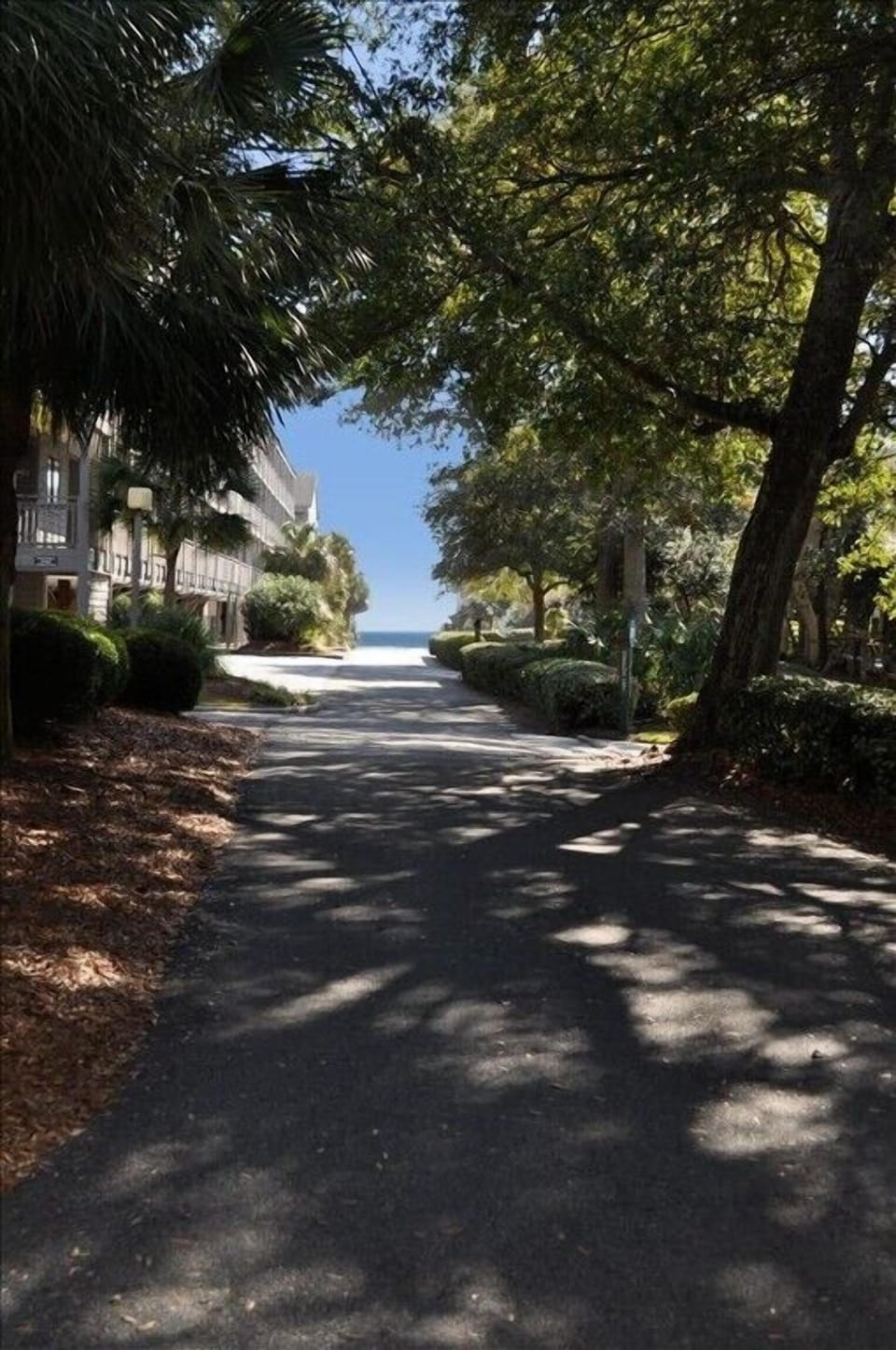 Path to the beach