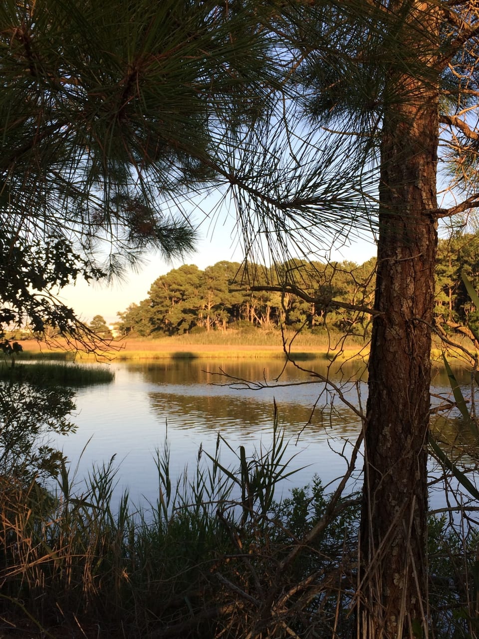Lake