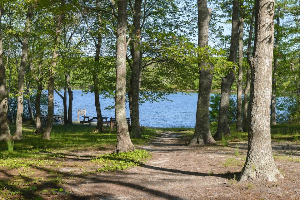 Private Neighborhood Pond Beach