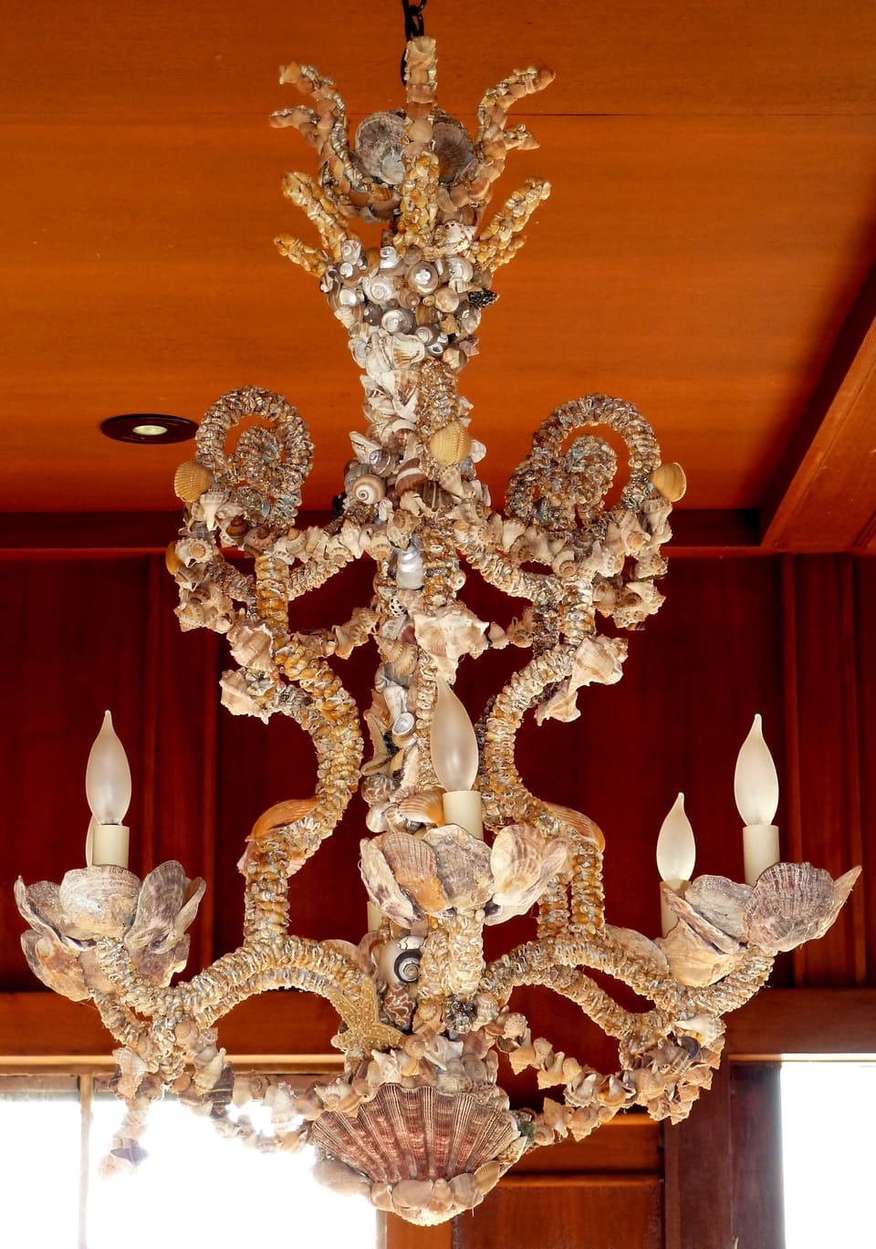 Fabulous one-of-a-kind seashell chandelier