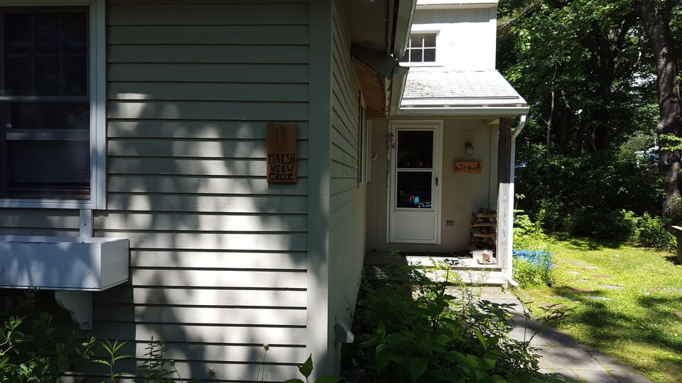 Welcome to Nutty Pine