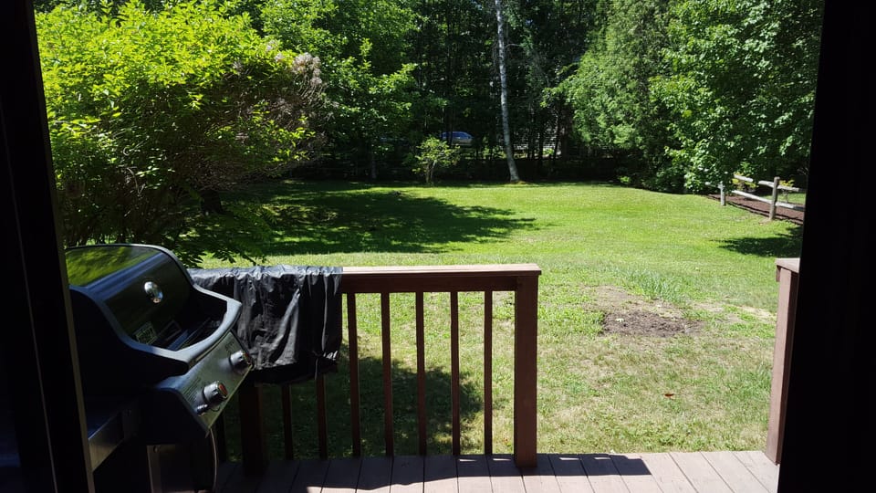 view from 3 season porch into backyard