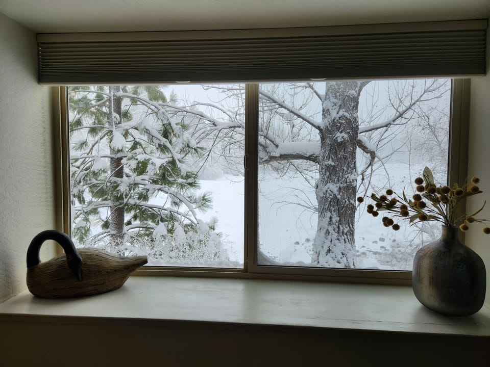 Wintery meadow view from master bedroom