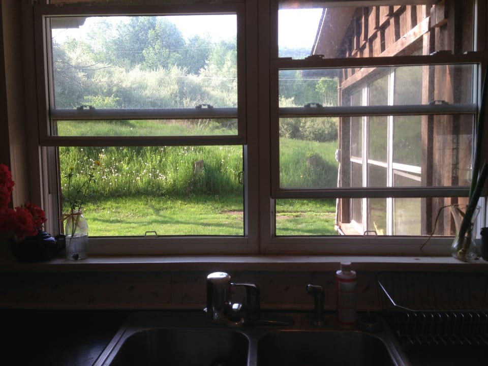 View from kitchen sink
