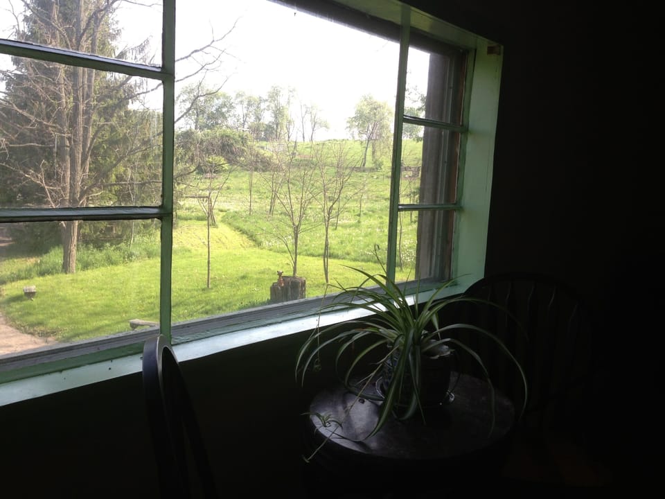 View from living room window
