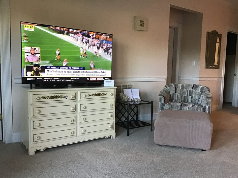 New 55" TV with swivel rocker