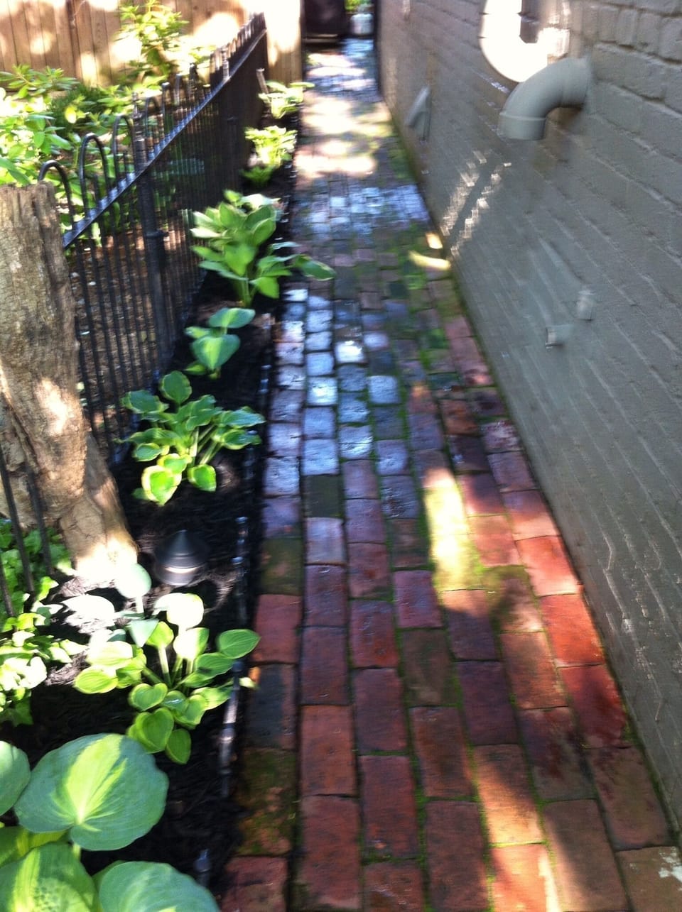 Front Yard