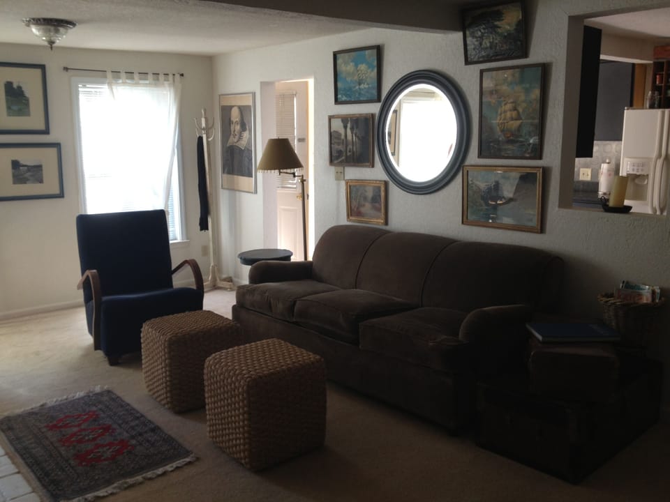 Living room with sofa sleeper.