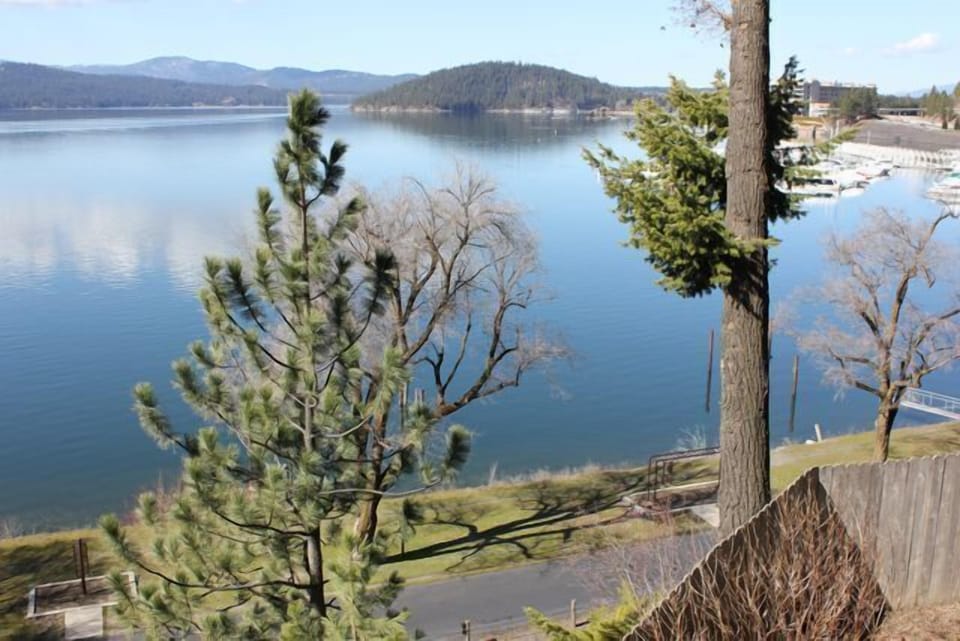 View from deck