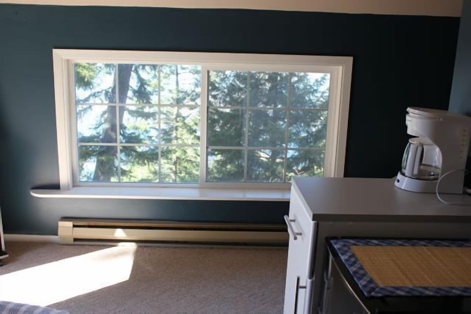 View from window