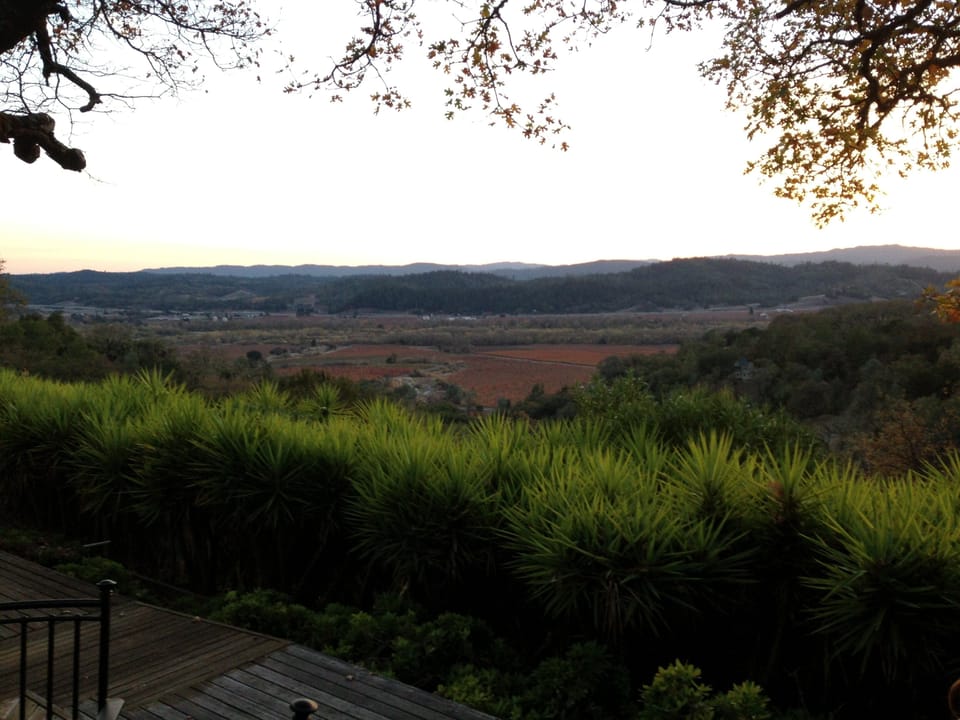 Alexander Valley