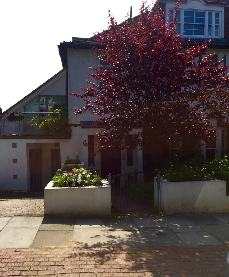 The front of the house. The guest front door is on the left.
