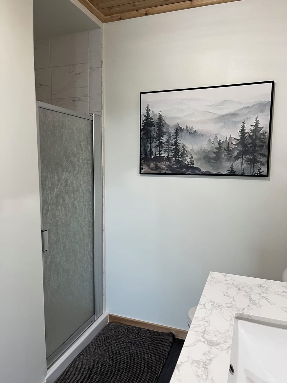 Newly updated main bath with walk-in shower