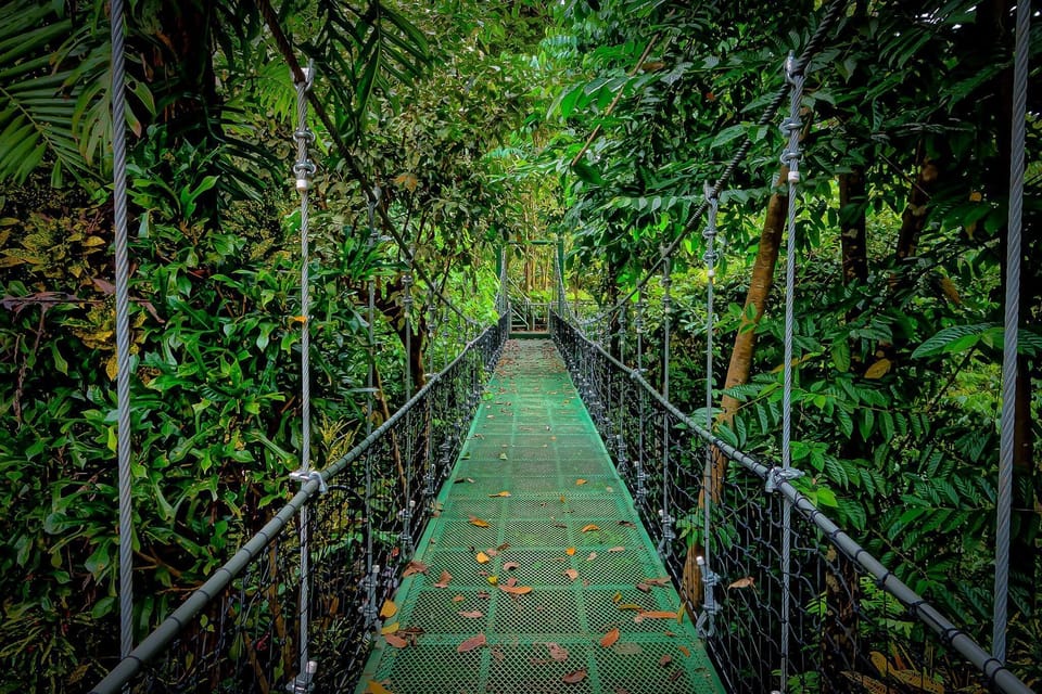 Entry to your Cockpit Cottage in the Jungle
