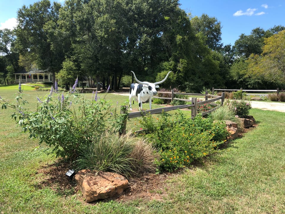 You are greeted by a lovely butterfly garden & longhorn at the driveway entrance