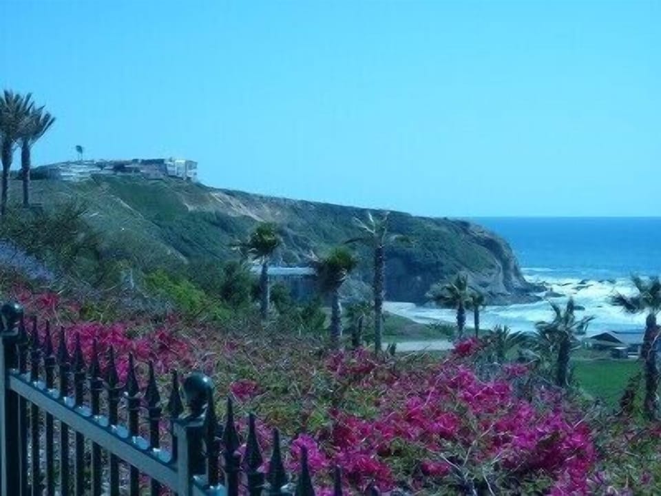 Across The Street From The Condo