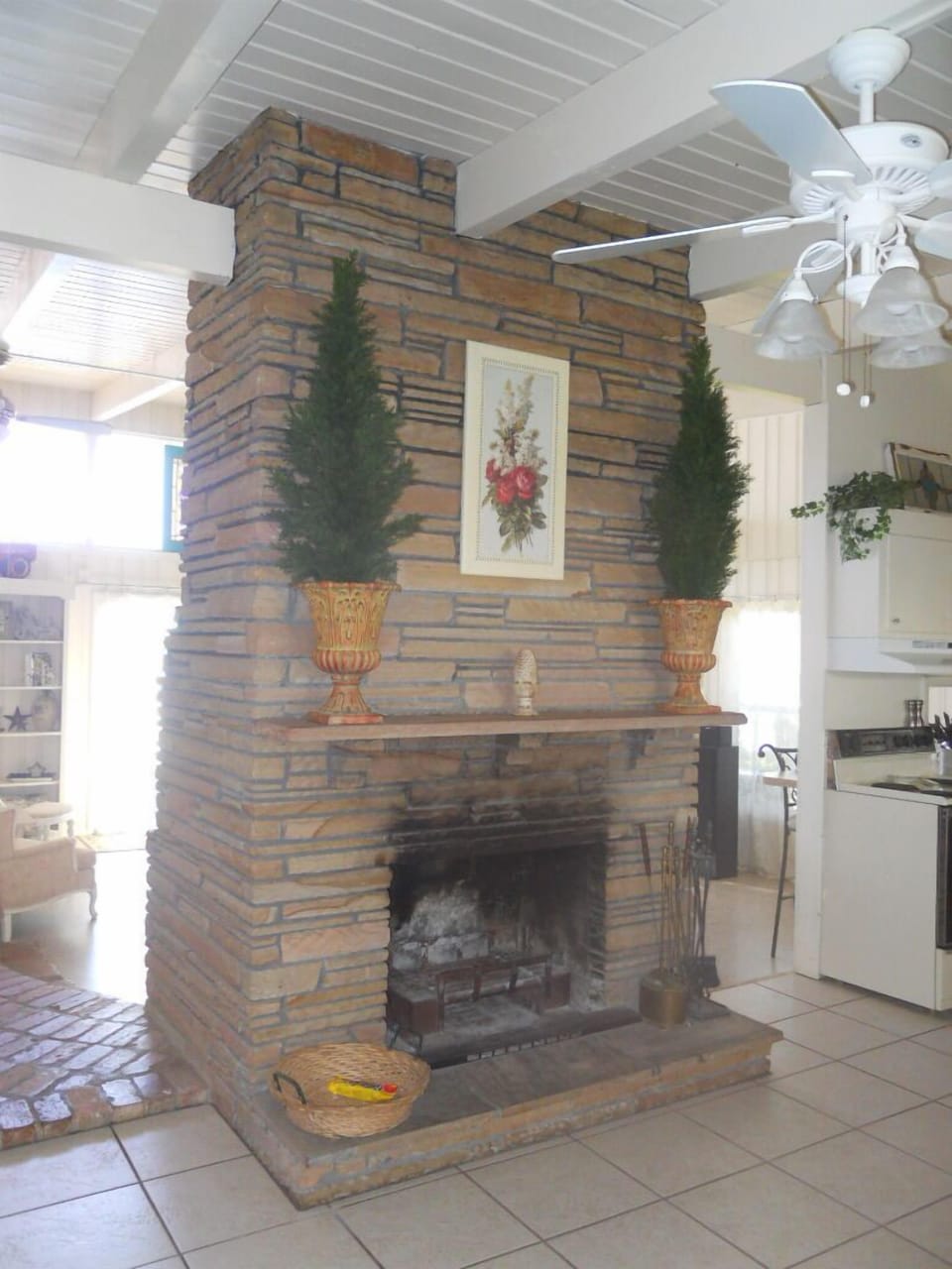 free standing fireplace, wood burning side and the other has infrared  insert