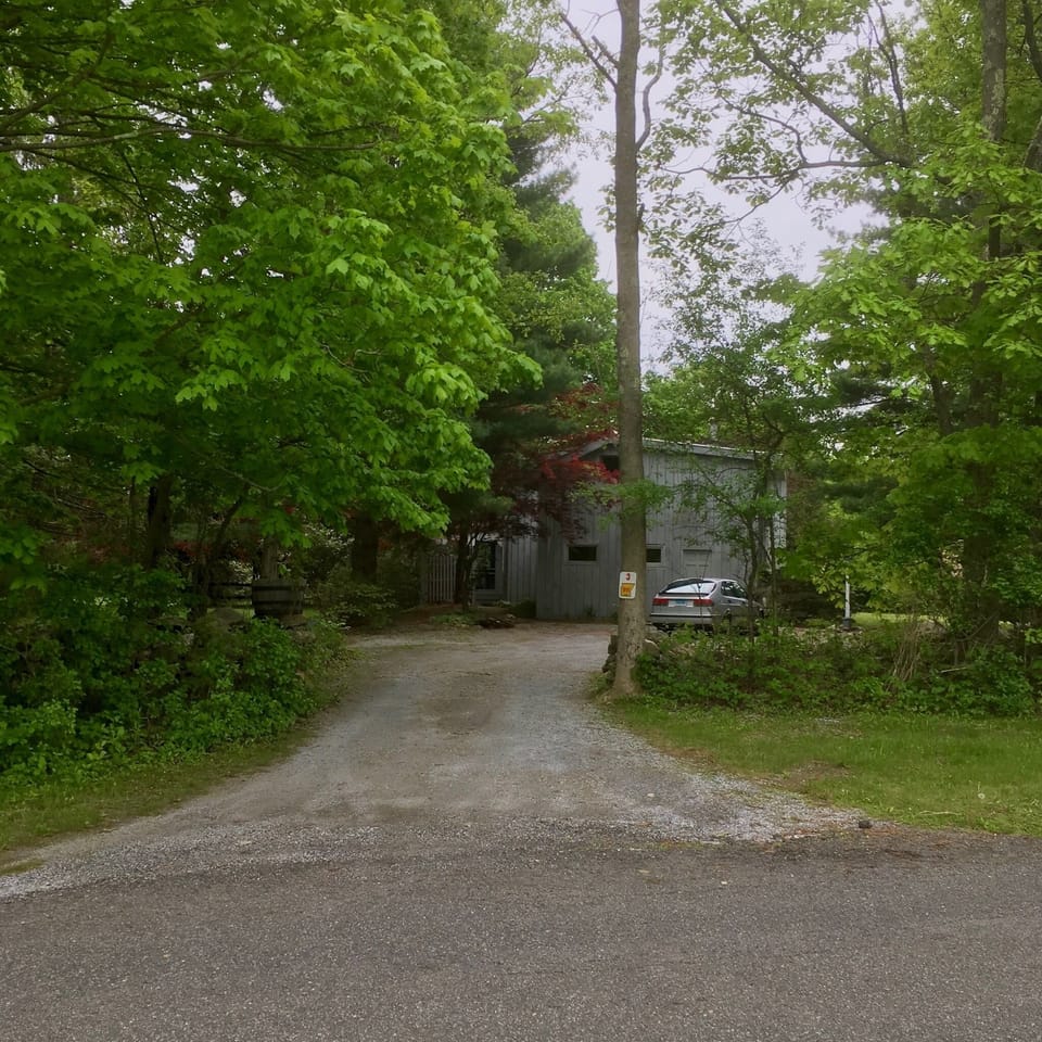 The view from the street