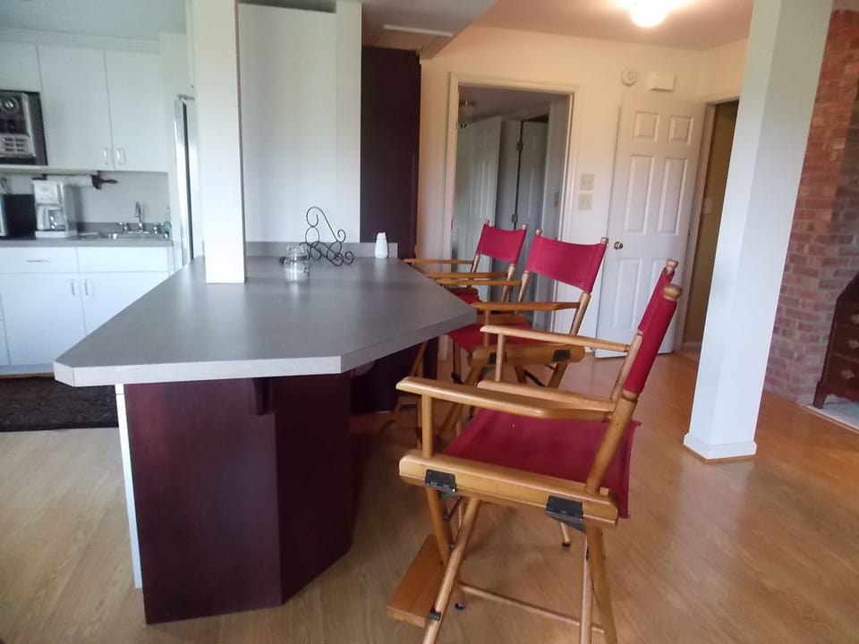 Bar and kitchen area