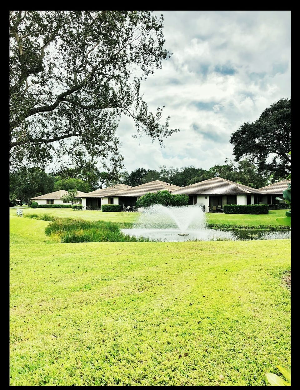 View from the Patio!