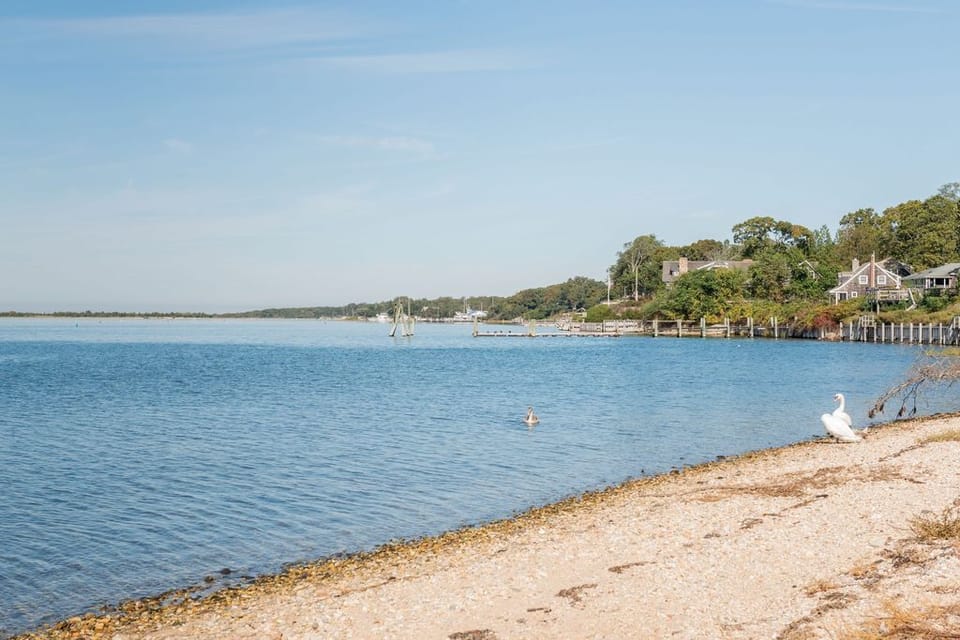 neighborhood beach