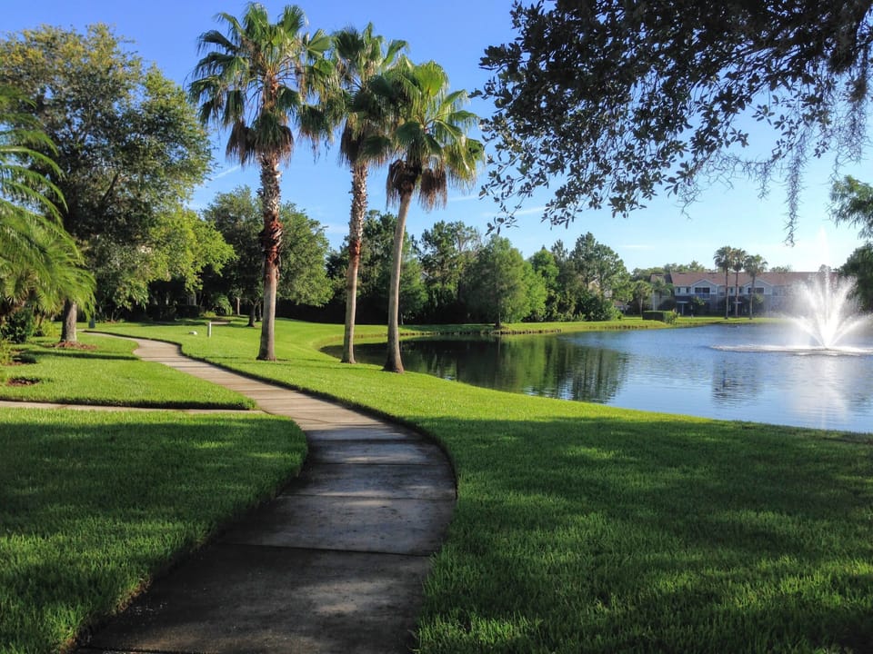 Part of the walkway that circles the lake.