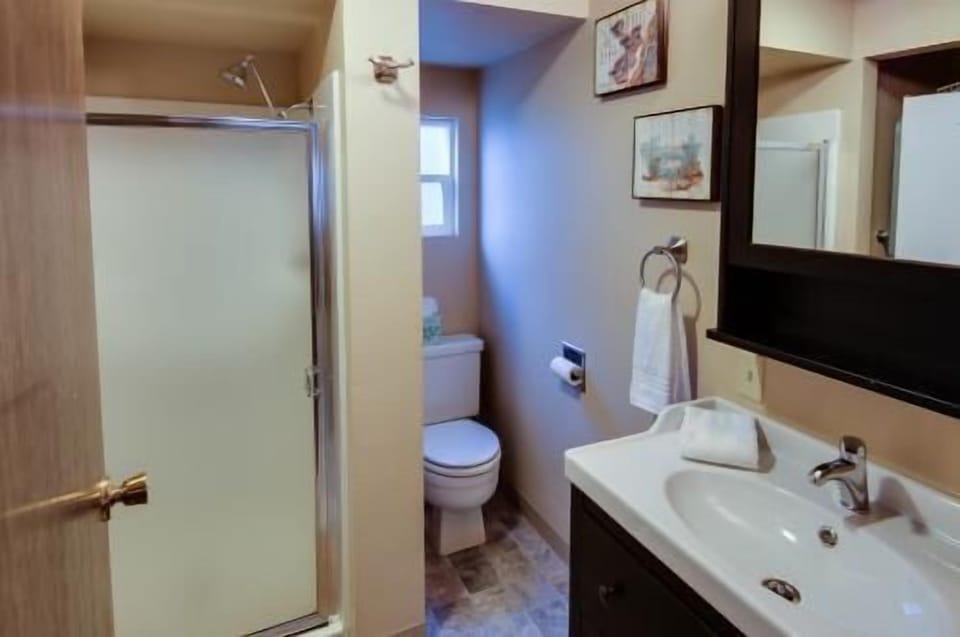 Lower level bathroom