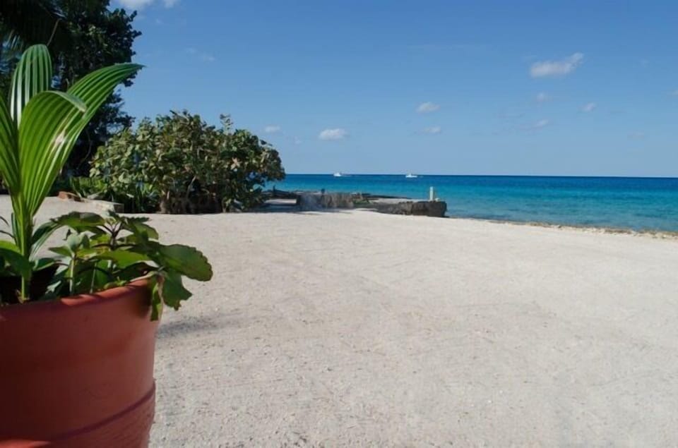 Gorgeous Beach